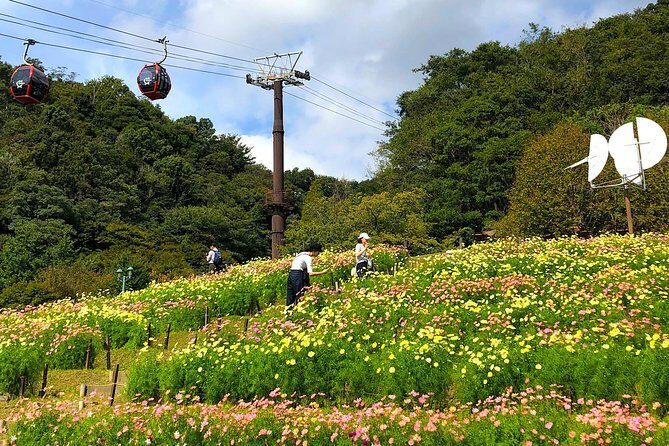 1-Day Kobe Highlights Tour including Sake Tasting - Ikuta-jinja: A Short Shrine Stop With a Real Purpose