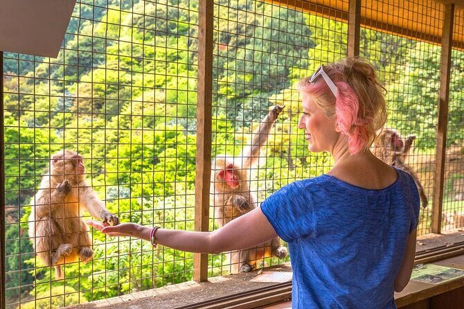 1-Day Private Snow Monkey ZenkoJi Temple & SakeTasting NaganoTour - Monzen Terrace Enya lunch: a solid reset between sacred sights
