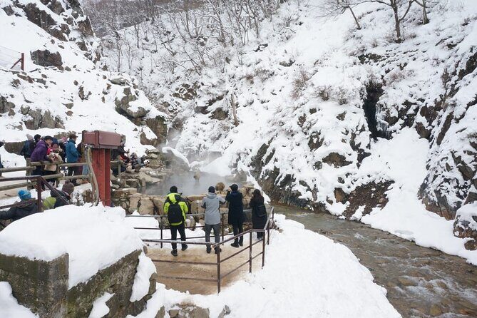 1-Day Snow Monkeys, Zenko-ji Temple & Sake in Nagano - Transport in Nagano and winter Hakuba: what affects your day