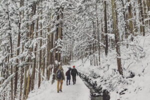 1-Day Winter Tour From Nozawa Onsen: Snow Monkeys, Zenko-ji Temple & Sake - Winter lunch at Japanese Dining GOEN: warm food without fuss