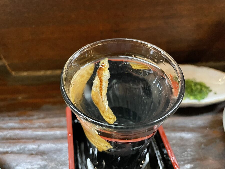 A glass of hirezake, hot sake with grilled fugu fin floating in the cup, traditional in Yamaguchi and Osaka