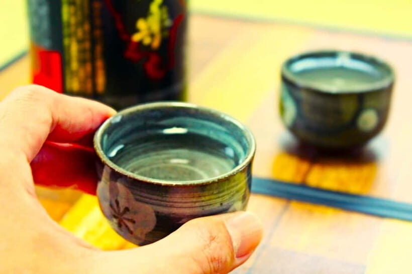 Casual Japanese sake tasting and snack experience, Kabukicho - Kabukicho reality check: helpful advice for your first visit