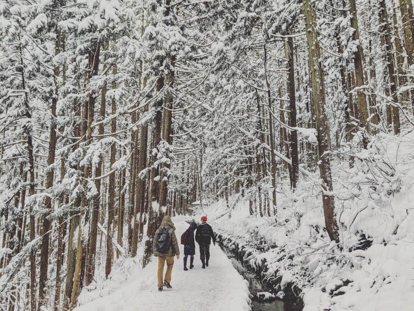 From Nozawa Onsen: Snow Monkeys and Zenko-ji Day Trip & Sake - Price and Value: What the $135 Covers in Real Travel Terms