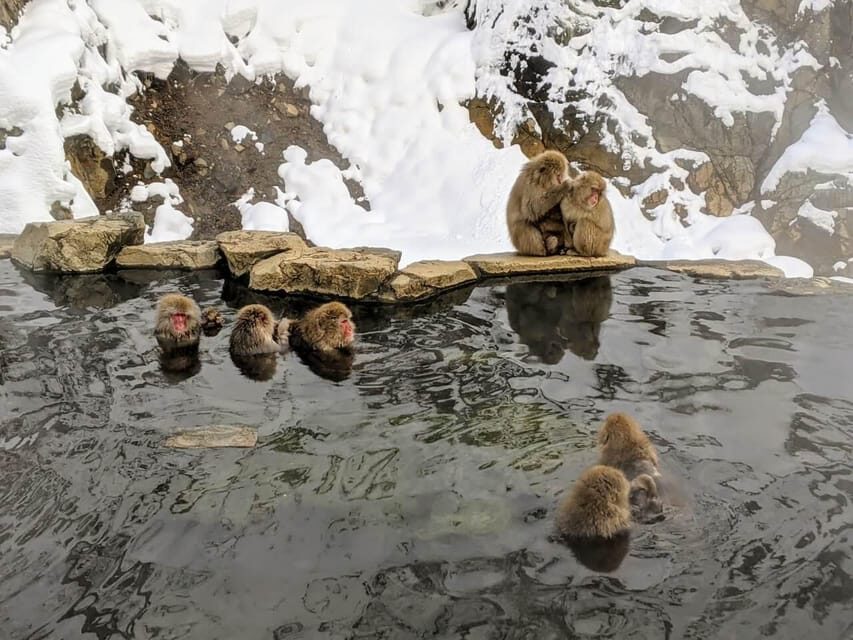 From Nozawa Onsen: Snow Monkeys and Zenko-ji Day Trip & Sake - Lunch in Nagano: A Warm Break That Keeps the Day Enjoyable