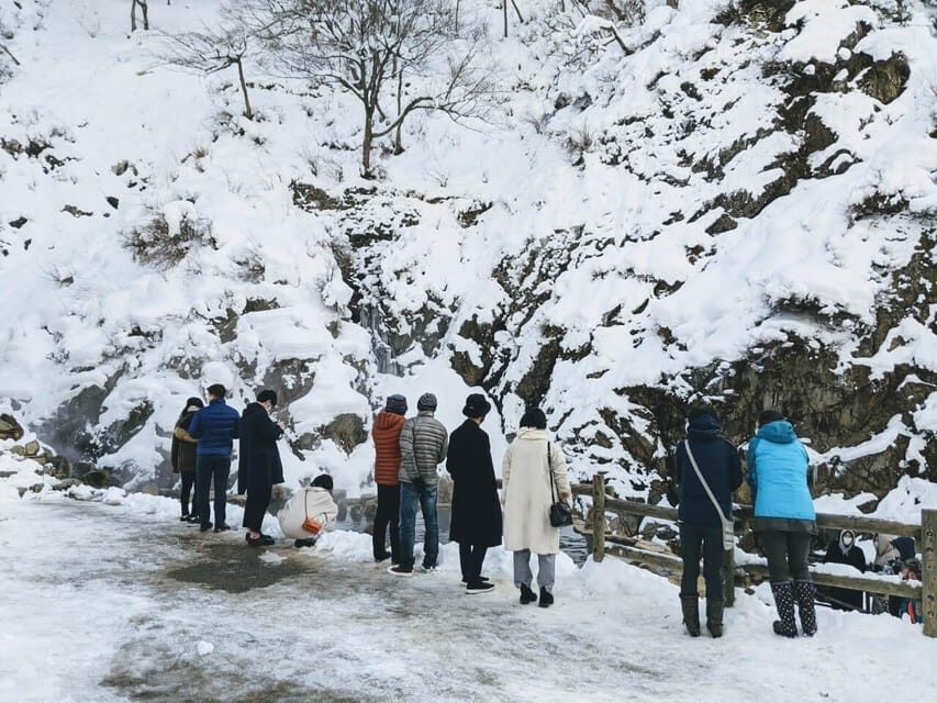From Nozawa Onsen: Snow Monkeys and Zenko-ji Day Trip & Sake - Logistics From Nozawa Onsen: Pickup Options, Bus Time, and Shoe Reality