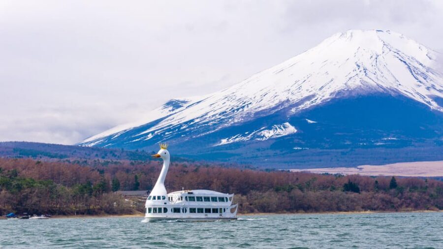 From Tokyo: Mount Fuji, Cruise and Sake Tour - Lake Yamanaka Swan Sightseeing Boat: Fuji from the water