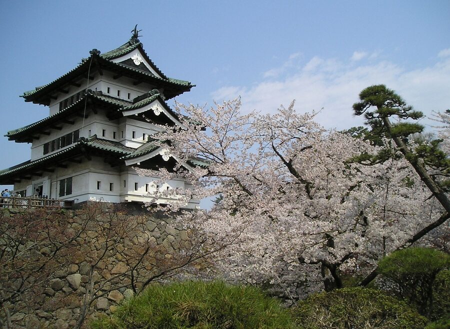 Hirosaki Castle keep with cherry blossoms in foreground