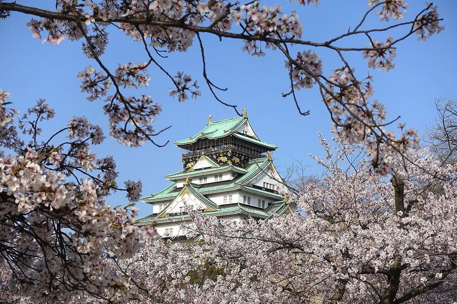 Osaka Castle moat lined with cherry blossoms