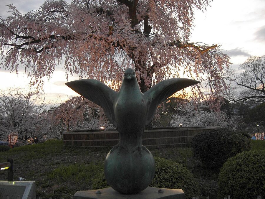 Weeping cherry tree at Maruyama Park Kyoto in full bloom