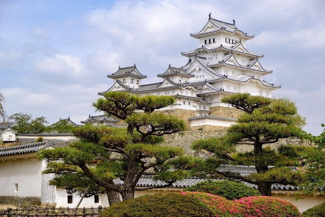 Himeji Bar Hopping Tour - Price and value: what $97.55 really covers