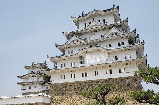 Himeji Bar Hopping Tour - Best timing, what to wear, and how to make it fun