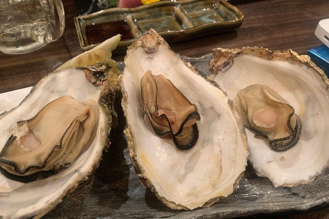 Hiroshima Izakaya Food and Drink Night Tour - Timing, weather, and smoking: how to stay comfortable