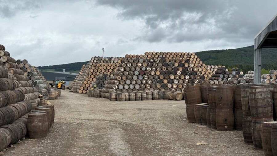 Wide view of stacked whisky barrels outdoors with overcast sky