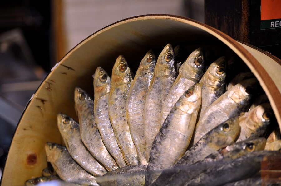 A tin of canned sardines beside a glass on a counter, classic kakuuchi snack