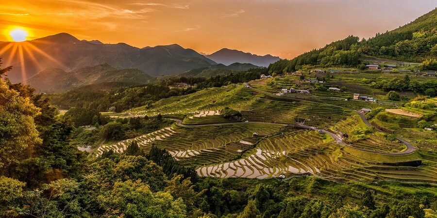 Rice terraces in Japan, similar to Shiga lake-country sake rice country