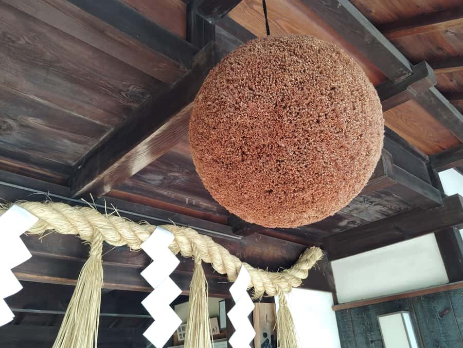 Kobe: 3-Hour Sake Breweries Tour with Special Tasting - Tastings that actually help you compare (not just sample)