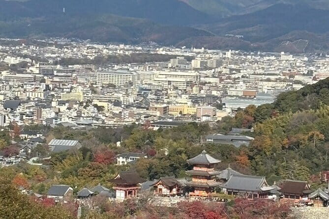 Kyoto 1 Day Suntory Yamazaki Distillery Tour and Asahi Art Museum - Practical tips that save your day (and your ID)