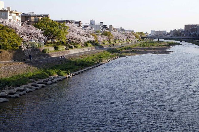 Kyoto Bar Hopping Night Tour - Key things to know before you go