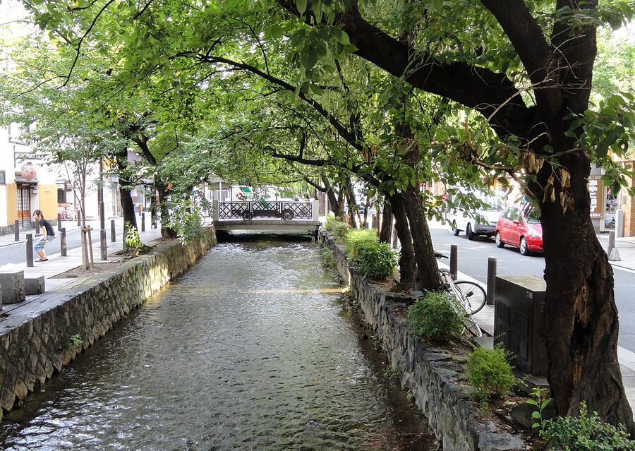 Takase River canal in Kiyamachi with overhanging trees