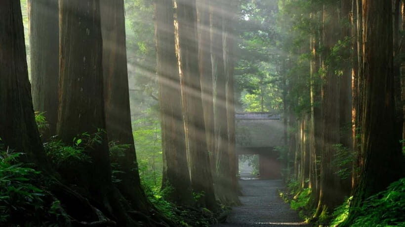 Nagano: Togakushi Shrine, Sake & Zenkoji Private Tour - The photo gift: why dedicated camera time is worth paying for