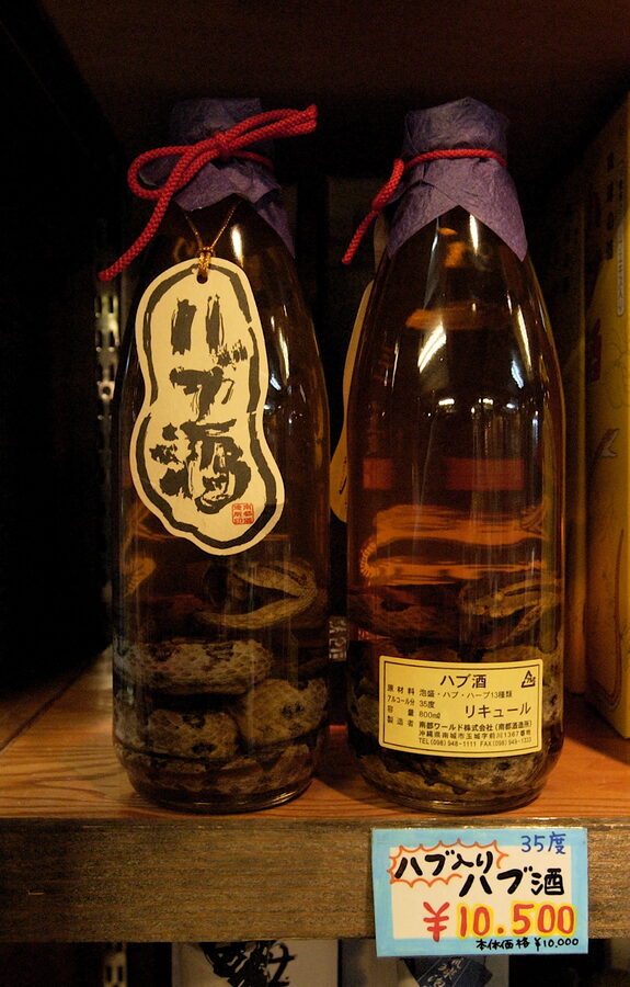 Habushu jars with snakes and herbs in Okinawa