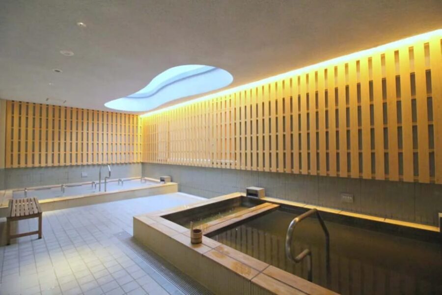 Onsen Spa in Tokyo and Asakusa Bar Hopping with Local Guide - Price and value: what $160 really buys you