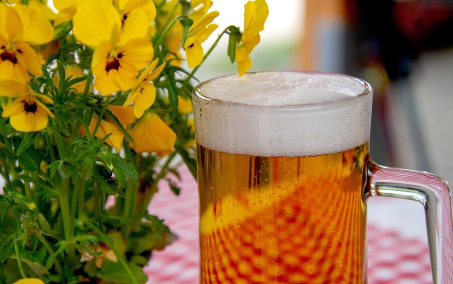 A glass of cold draught beer with foam on top, Japan-style mug