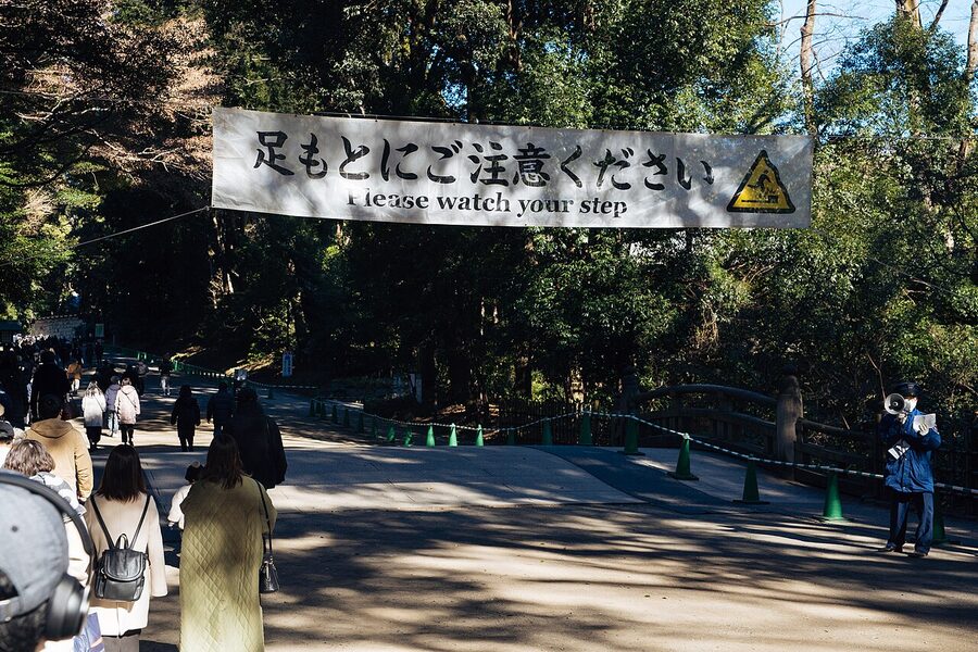 The hatsumode crowd flowing toward the main hall of Meiji Shrine in early January