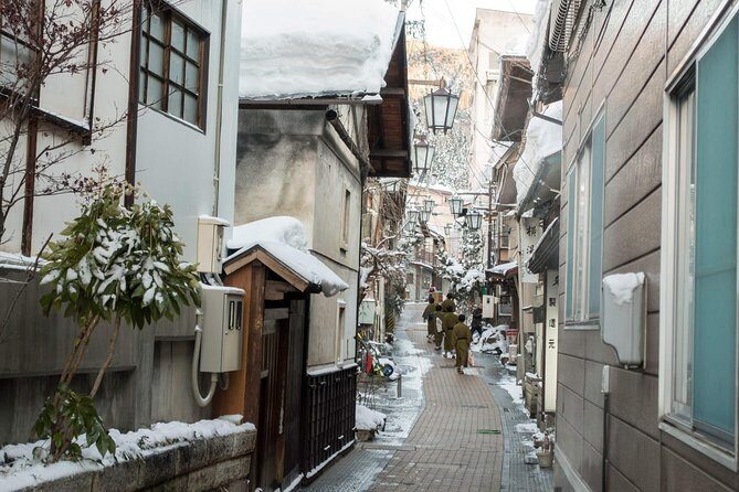 Private Nagano 1-Day Tour:Snow Monkeys,Zenko-ji,Obuse,Sake,Onsen - Jigokudani Snow Monkey Park: the highlight, the photos, and the seasonal reality