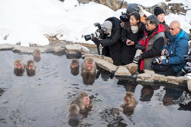 Private Nagano 1-Day Tour:Snow Monkeys,Zenko-ji,Obuse,Sake,Onsen - Hokusai Museum: the art intermission that gives the day texture