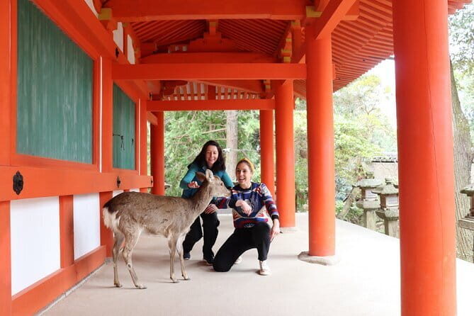 Private Nara Tour and Sake Tasting (Departing from Kyoto/Nara) - Key highlights at a glance