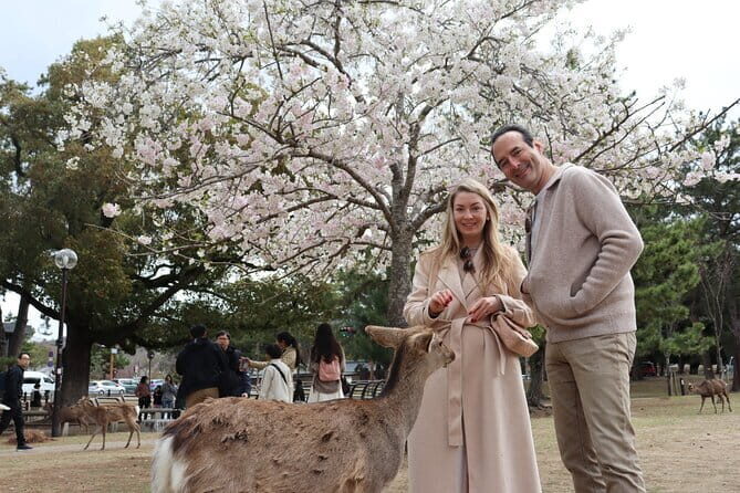 Private Nara Tour and Sake Tasting (Departing from Kyoto/Nara) - Kofuku-ji Temple: the five-story pagoda stop that sets the tone