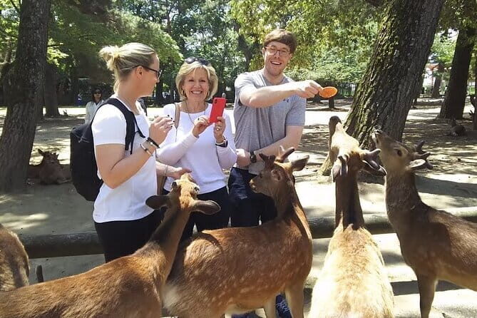 Private Nara Tour and Sake Tasting (Departing from Kyoto/Nara) - Nara Park deer time: the fun part, managed well