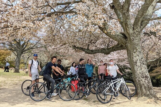 Private Nara Tour and Sake Tasting (Departing from Kyoto/Nara) - Harushika Brewery sake tasting: optional, local, and not the whole day