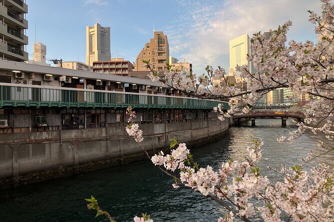 Private Yokohama Noge Food & Bar Tour – Local Night Experience - What you get for $149.57: drinks, skewers, language help, and a real photo option