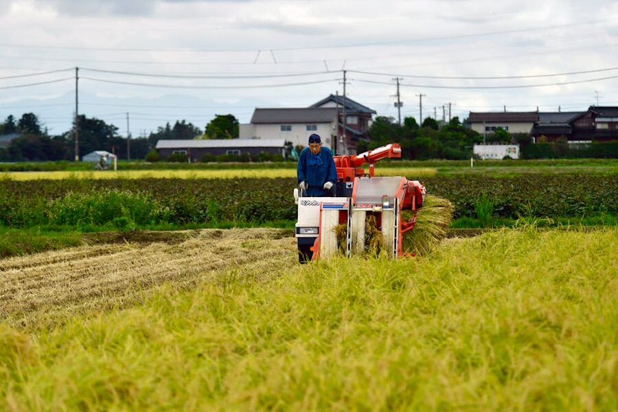 Rice harvesting machinery operating in a Niigata rice field