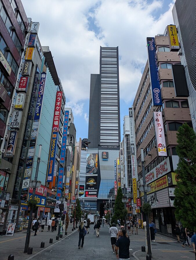 Kabukicho streets in 2025 with neon billboards