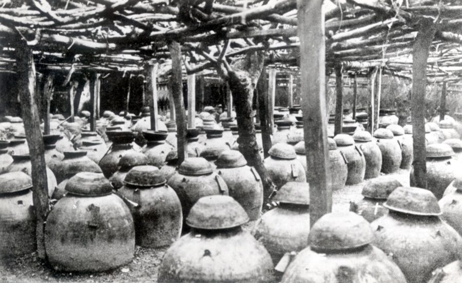 Pre-war jars of moromi for awamori production in Okinawa
