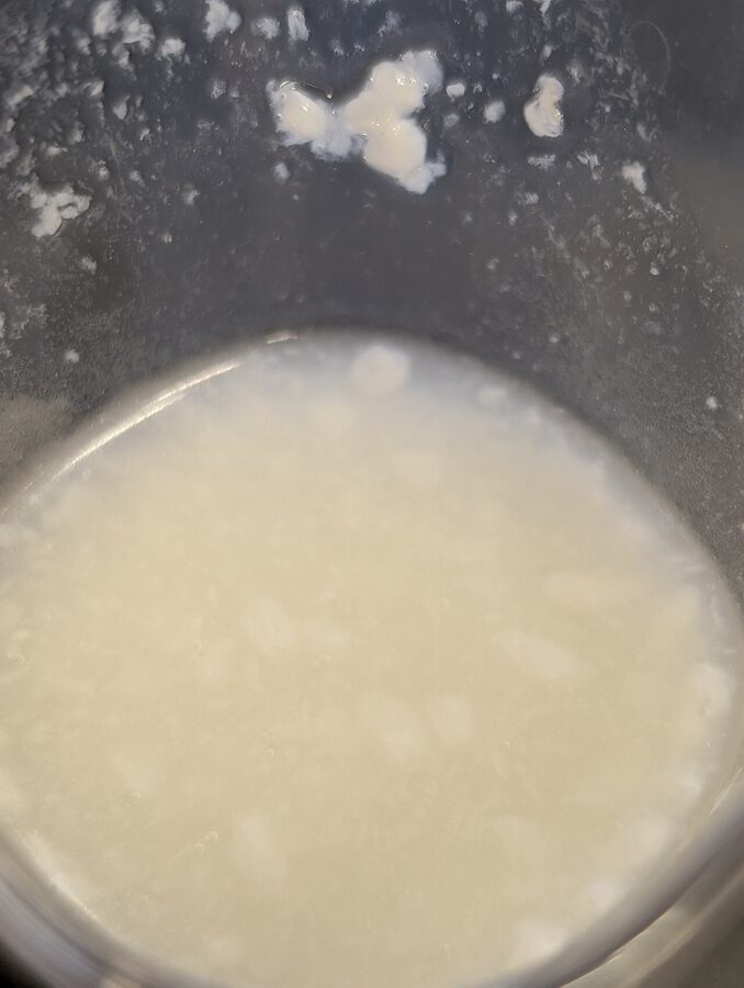 A small ceramic cup of Nagano namazake unpasteurised sake