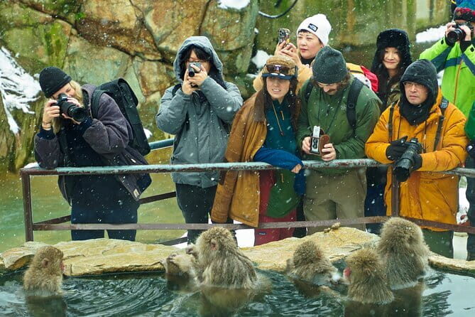 Snow Monkeys, Hokusai & Sake: A Perfect Day in Nagano - A full-day Nagano reset built around Jigokudani