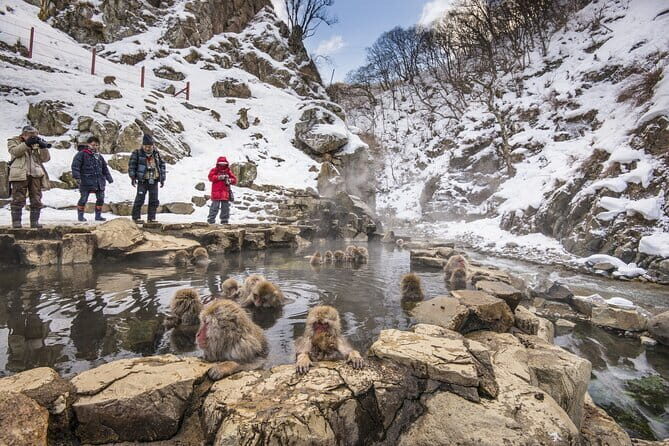 Snow Monkeys, Hokusai & Sake: A Perfect Day in Nagano - Hokusai Museum and Obuse time: art, but with breathing room