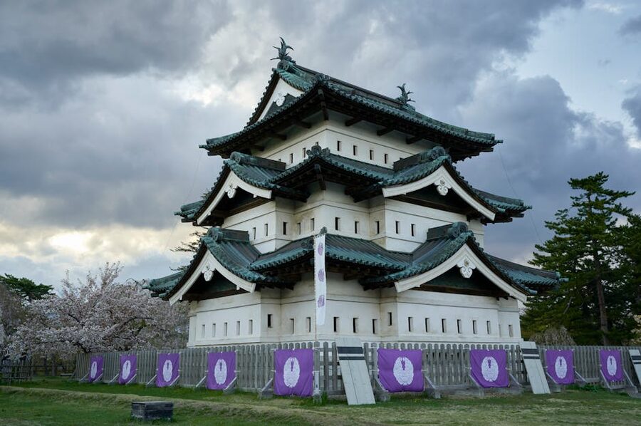 Hirosaki Castle cherry blossoms