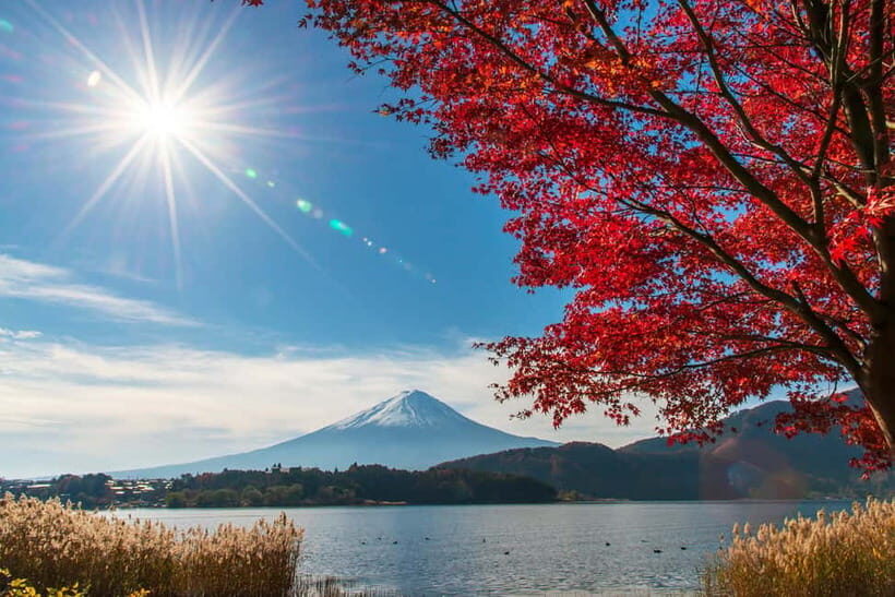 Tokyo: Mt. Fuji 5th St. & Hakushu Distillery Whisky Museum - Fuji by road, whisky by choice