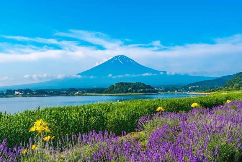 Tokyo: Mt. Fuji 5th St. & Hakushu Distillery Whisky Museum - Price and logistics: is it worth $87?