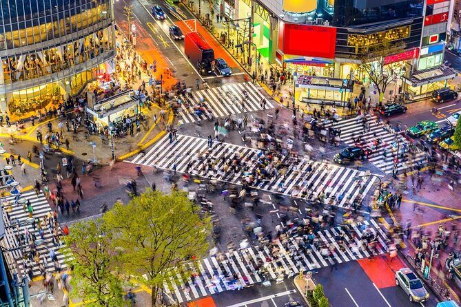 Tokyo: Shibuya Local Bar & Izakaya Crawl Tour - Getting Oriented in Shibuya: why this tour starts at 8:00 pm
