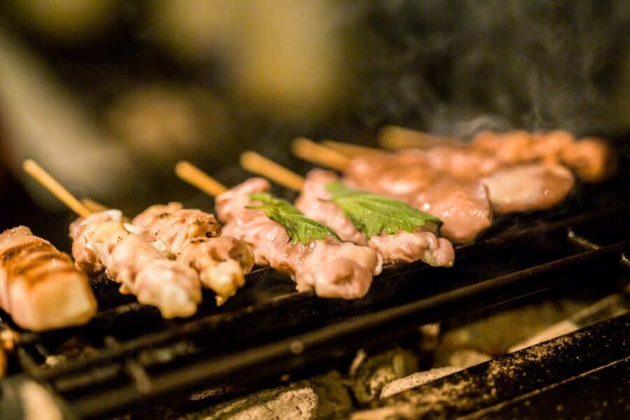 Tokyo: The Best of Izakaya in Shinjuku Food & Cultural Tour - Who This Tour Suits Best (And Who Might Want Another Plan)