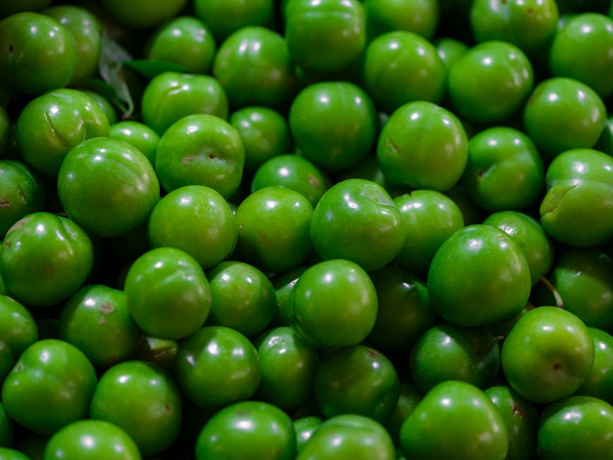 Green plums clustered together, the raw material every umeshu producer starts with
