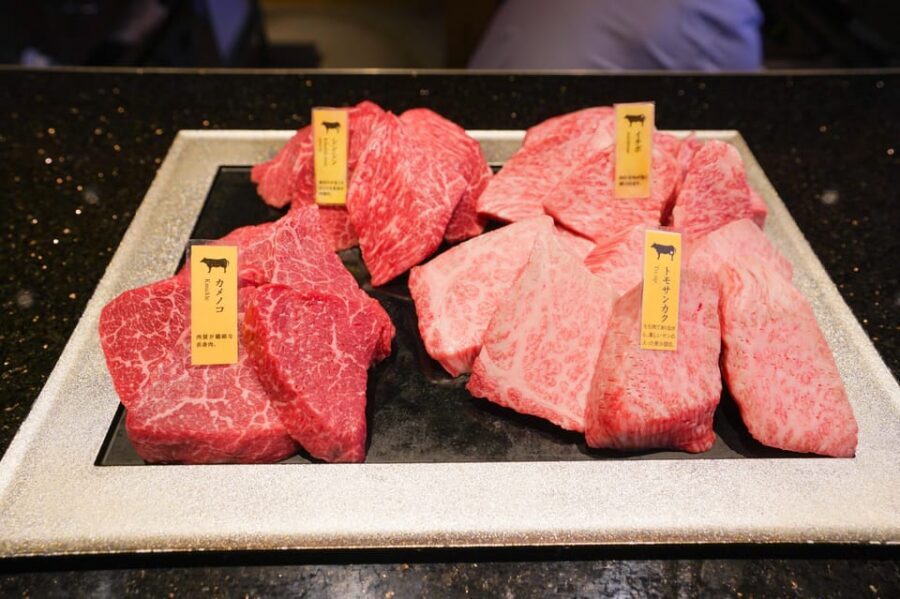Wagyu Beef & Sake Pairing Foodie Tour in Tokyo - Who this Tokyo wagyu and sake pairing tour is best for