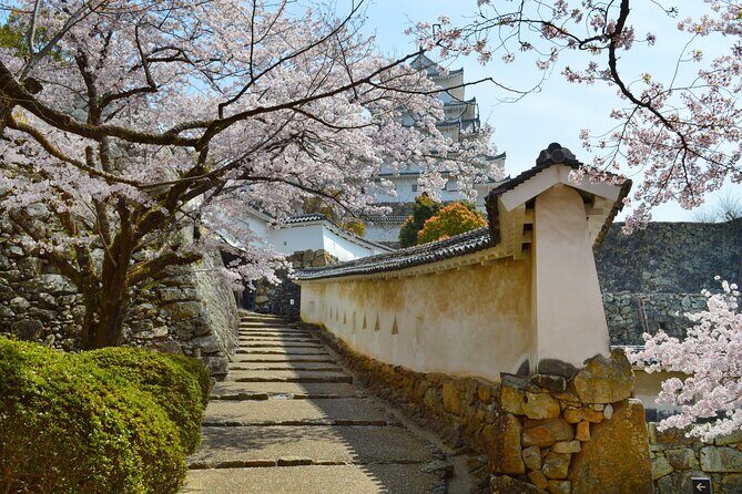 World Heritage Himeji Castle & Sake Breweries Private Tour - Nadagiku Shuzo Sake Brewery: history you can taste