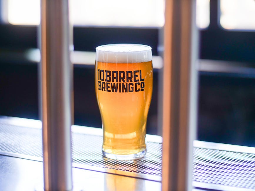 A chilled pint of craft beer with foam, the kind you'd order with tare-glazed skewers